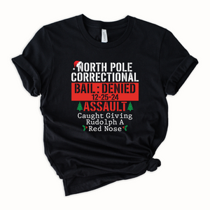 North Pole Correctional Assault