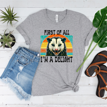 Load image into Gallery viewer, Wholesale I'm a delight Graphic Tee - Grey Tee
