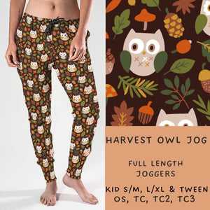 Ready To Ship - Harvest Owl