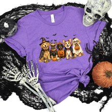 Load image into Gallery viewer, Wholesale Cute Halloween Dogs Graphic Tee - Heather Team Purple
