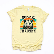Load image into Gallery viewer, Wholesale I'm a delight Graphic Tee - Heather Dust Tee
