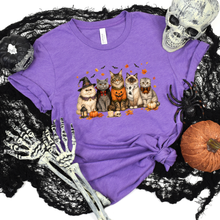 Load image into Gallery viewer, Wholesale Cute Halloween Cats Graphic Tee - Heather Team Purple
