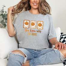 Load image into Gallery viewer, Wholesale You Know Why I'm Here Eggs Graphic Tee - Grey Tee
