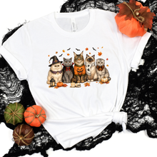 Load image into Gallery viewer, Wholesale Cute Halloween Cats Graphic Tee - White
