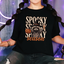 Load image into Gallery viewer, Spooky Season Raccoon - Black
