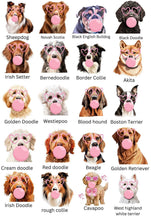 Load image into Gallery viewer, Valentines Dog Shirts
