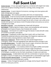 Load image into Gallery viewer, Medium Pumpkin Freshie

