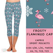 Load image into Gallery viewer, Ready To Ship - Coastal Christmas - Frosty Flamingo
