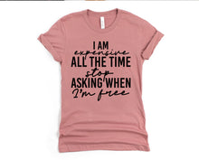 Load image into Gallery viewer, Wholesale I Am Expensive All The Time Graphic Tee - Mauve
